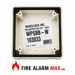 Cooper Wheelock WPSBB-W Weatherproof Back Box